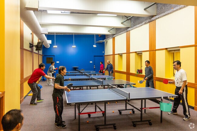 Play ping-pong at the Bayshore Community Center.