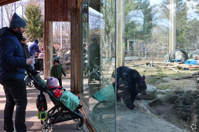 Families greet Bubba the black bear at Hockey and Honey event.