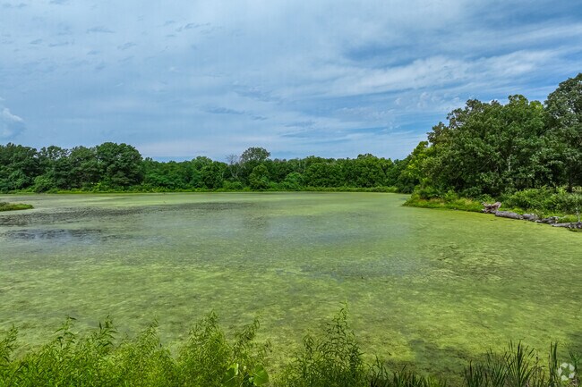 The lake at Alex George Wetland Park is filled with wildlife to watch.