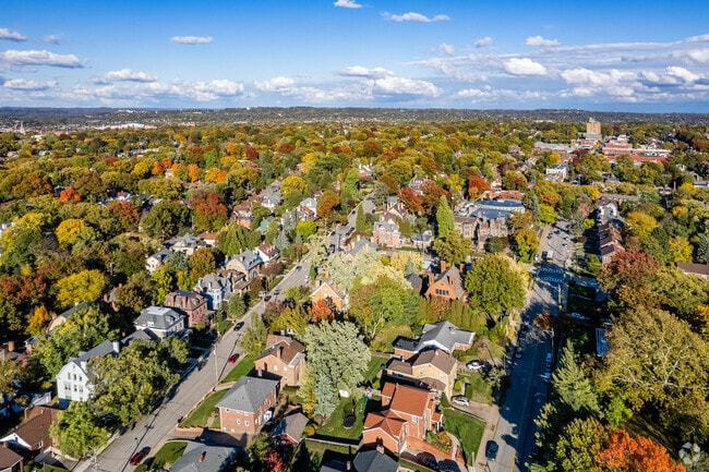 Squirrel Hill North has many places to grab a bite or over 1,000 acres of parks to enjoy.