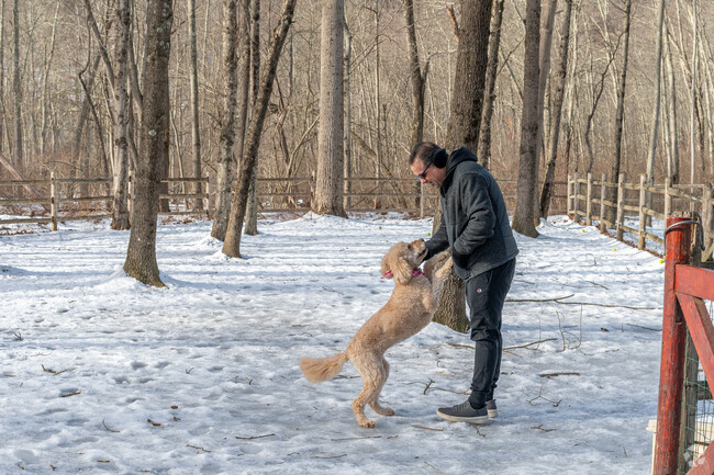 A resident plays with his dog at Yorktown Community Dog Park in Mohegan Lake.