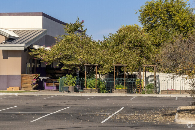 Chandler’s Life Christian Academy has a robust gardening area.