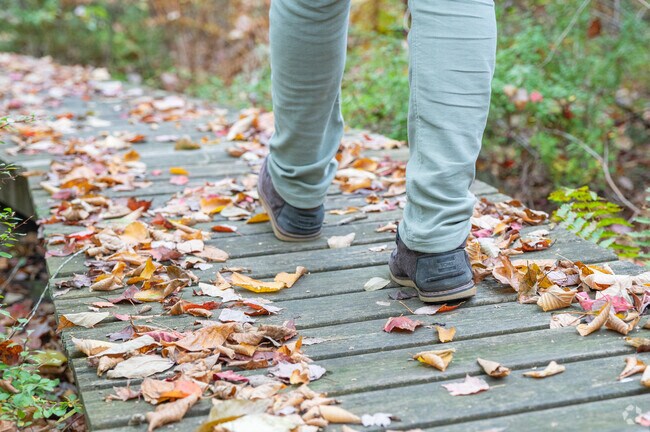 Enjoy a peaceful stroll and crisp fresh air in scenic North Pembroke.