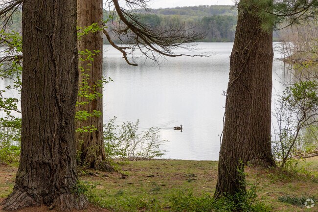 Loch Raven Merryman's Trail has views of Loch Raven Reservoir.