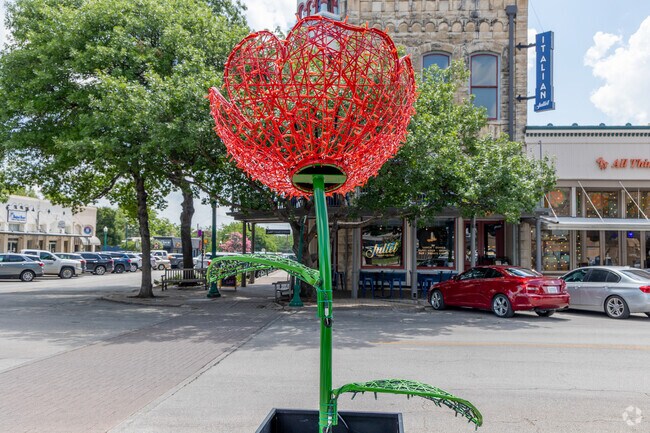 Find red poppies all around downtown Georgetown, TX.