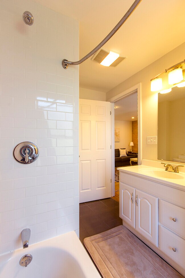 237 Northampton St unit 3, Boston, MA 02118 - photo 5