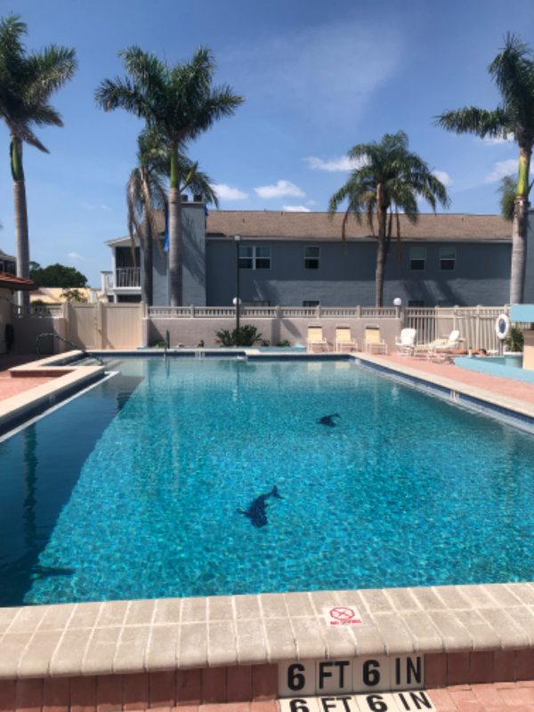 3747 59th Ave W, Bradenton, FL 34210