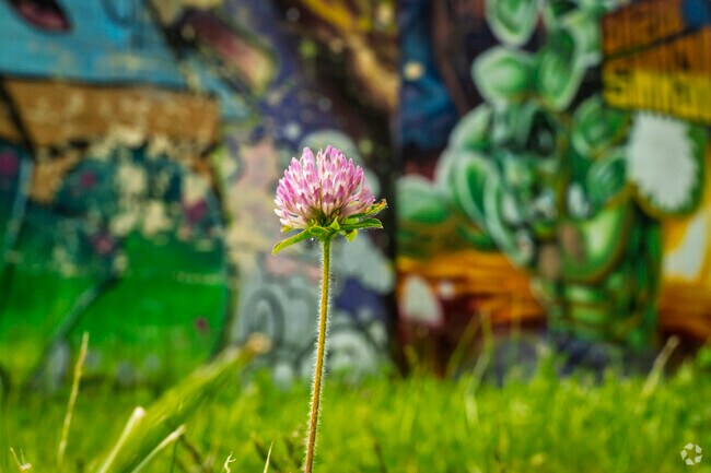 Sterling and Myrtle locals can find the beauty in all places in Flint.