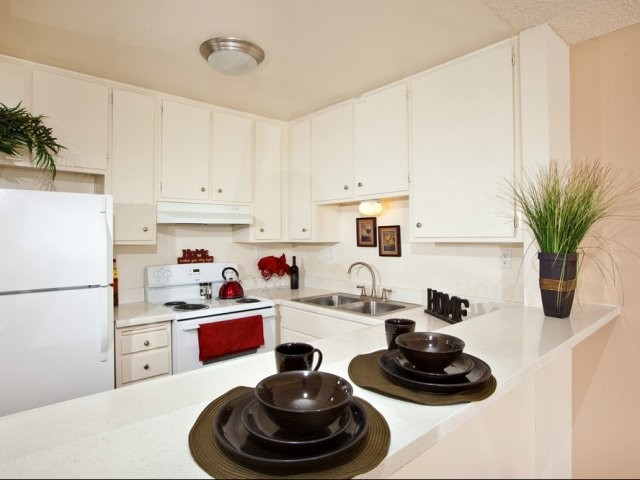 Elan Coco Palms, San Diego, CA 92107 - photo 7