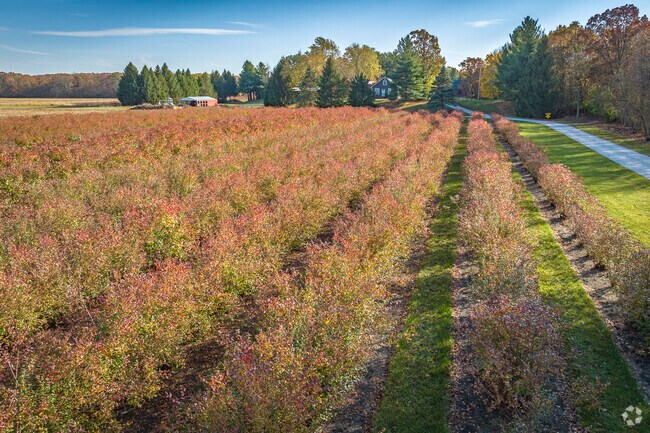 There are many berry farms located in DeMotte, specifically in Keener Township.
