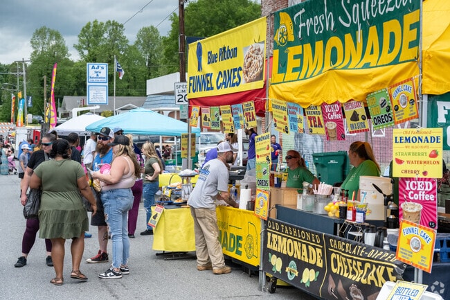Spring into Madison is one of the top spring events for the residents of Madison with a ton of vendors and food trucks.