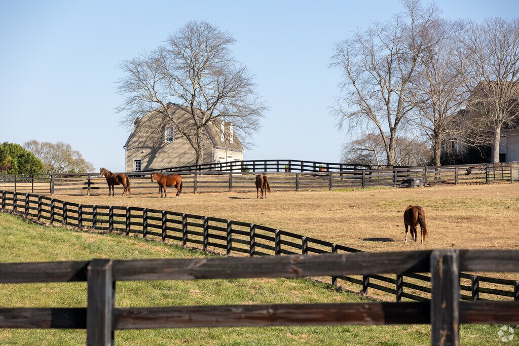 About Coal Mountain Schools, Demographics, Things to Do
