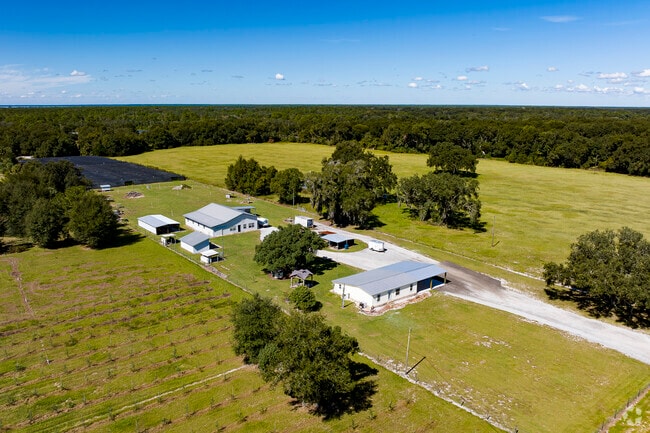 Many farms and large plots of land can be found in Seville, Florida.
