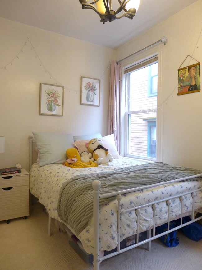 808 Parker St unit 2, Boston, MA 02120 - photo 7