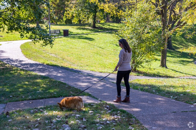 The furry friends in Benton Park neighborhood can enjoy a nice walk in Benton Park.