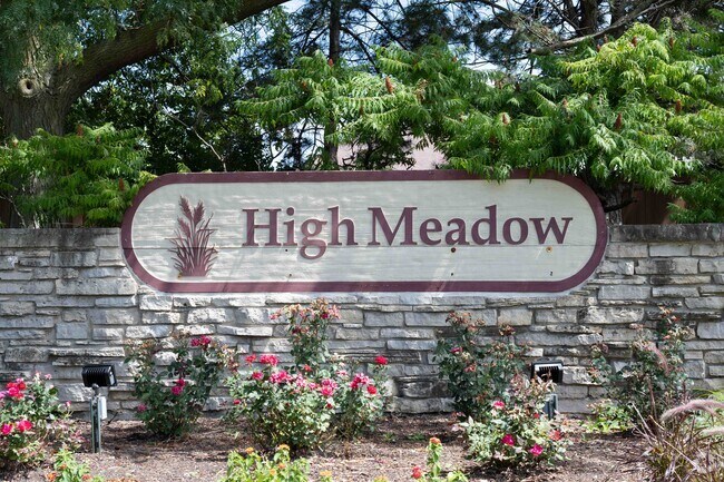 Naperville is renowned for its exceptional schools, and High Meadow is no exception.