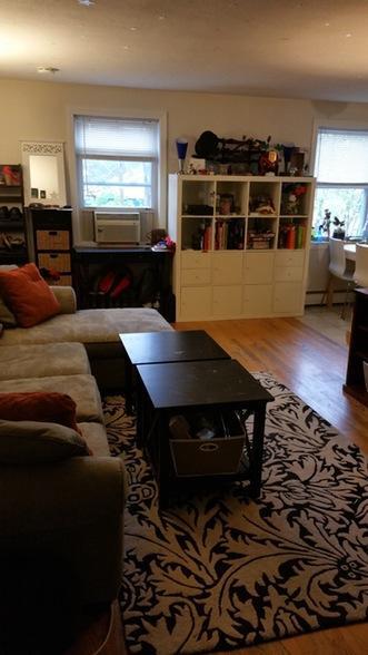 8 Avon St unit 9, Somerville, MA 02143 - photo 4