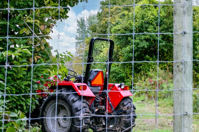 D-Town Farm in Rouge Park offers internships teaching farming skills and food security.