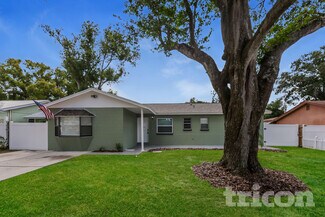 111 Sheryl Lynn Dr, Brandon, FL 33510