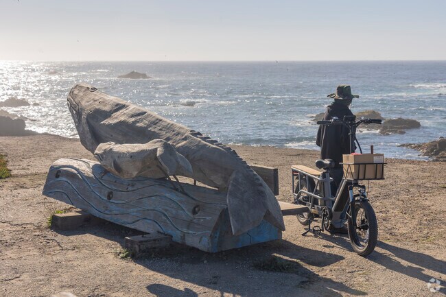 Locals can spot gray whales breach the coastline during their northern migration past Fort Bragg's coastline.