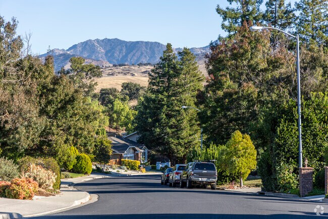 Homes in the Cowell Terrace neighborhood are accented by beautiful views of Mount Diablo.