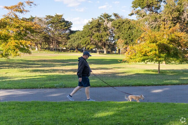 It's common to see people walking their dog at Ellis Lake Park in Concord.
