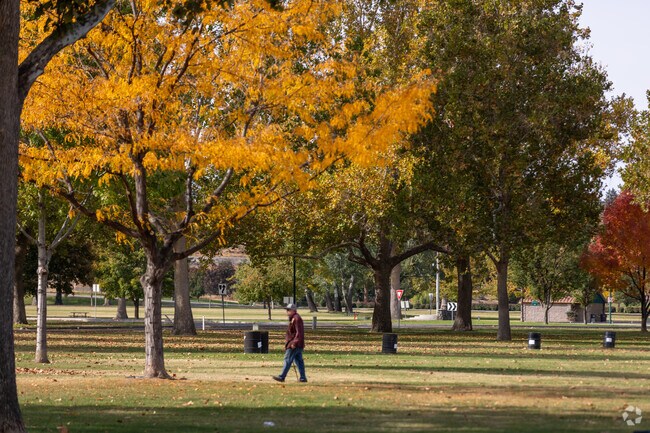 Columbia Park’s fall colors bring warmth and beauty to Kennewick.