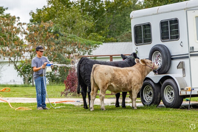 Lecanto enjoys community events where you can show your prize cows.