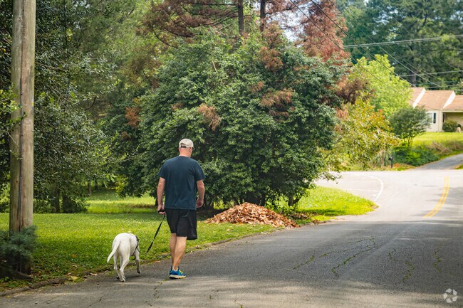 The green serene landscape of Brainerd Hills is ideal for walks.