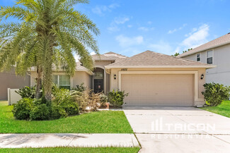 11602 Mansfield Point Dr, Riverview, FL 33569