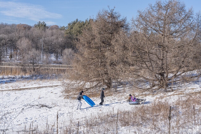 A family enjoys sledding in Brownie Lake Park.