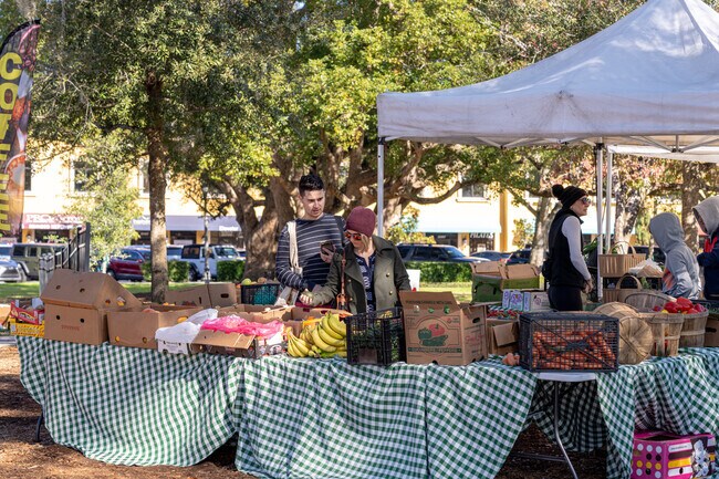 In Lake Mary's embrace, discover a town that seamlessly blends nature with commerce.