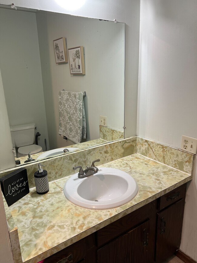 5134 E Bluffview Dr unit 3, Berrien Springs, MI 49103 - photo 5