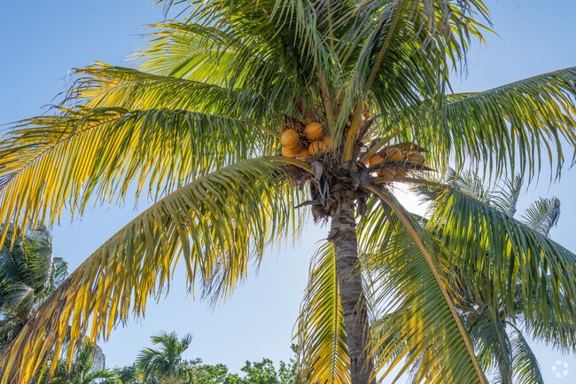 Lauderhill is a lush city with tropical foliage surrounding you.