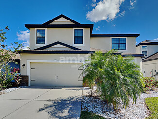 11822 Thicket Wood Dr, Riverview, FL 33579