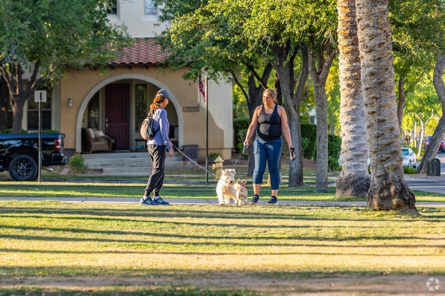 Discover a vibrant dog community in Verrado, where wagging tails and furry friends abound.
