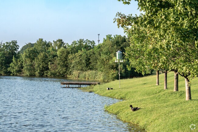 Get to know the beauty and the wildlife in Forest Lake