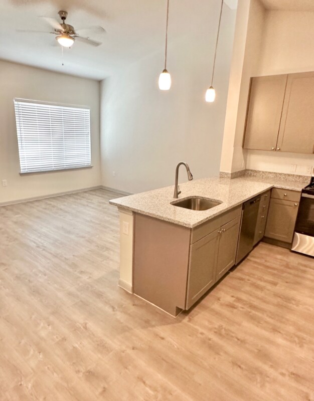 Camden Leander, Leander, TX 78641 - photo 5