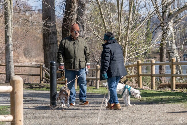 Dogs love going for walks on Burke-Gilman Trail in Downtown Kenmore.
