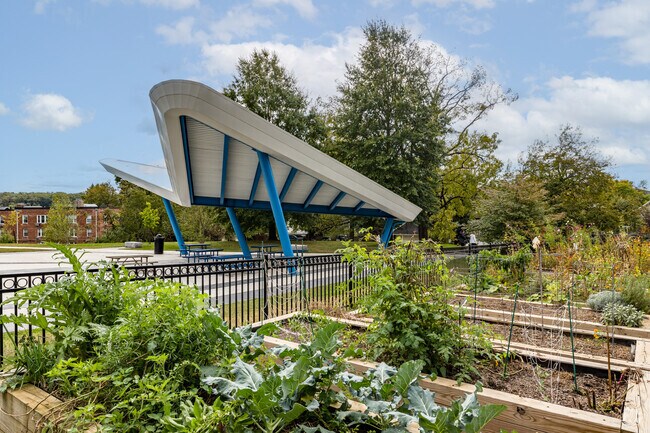 Hardy Park’s community garden in Foxhall showcases local green thumbs and native plants.
