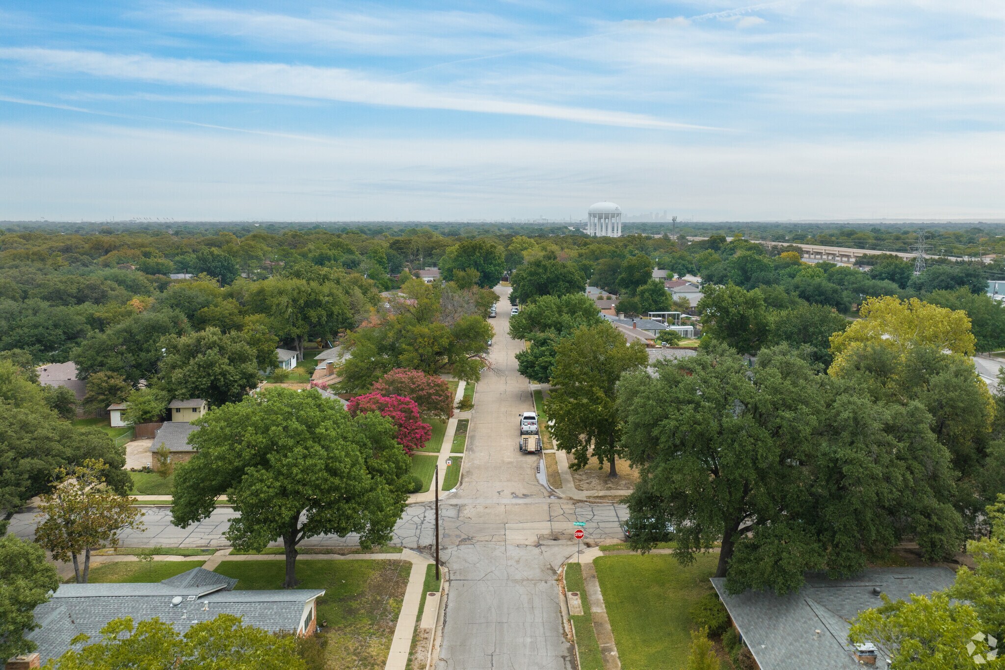 Large trees line the streets of Sherwood Forest.