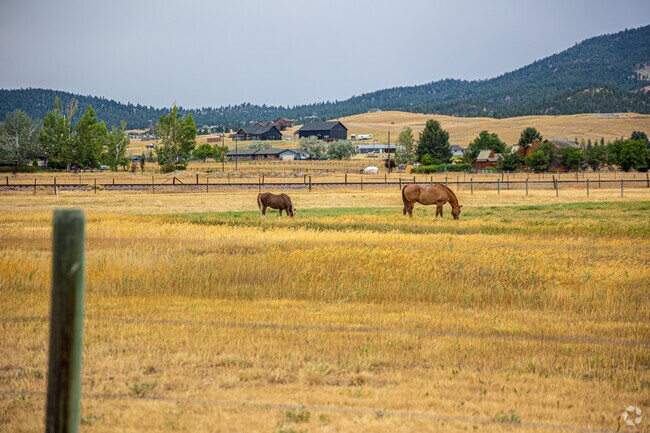 Horses can be found grazing on West Helena farmland.