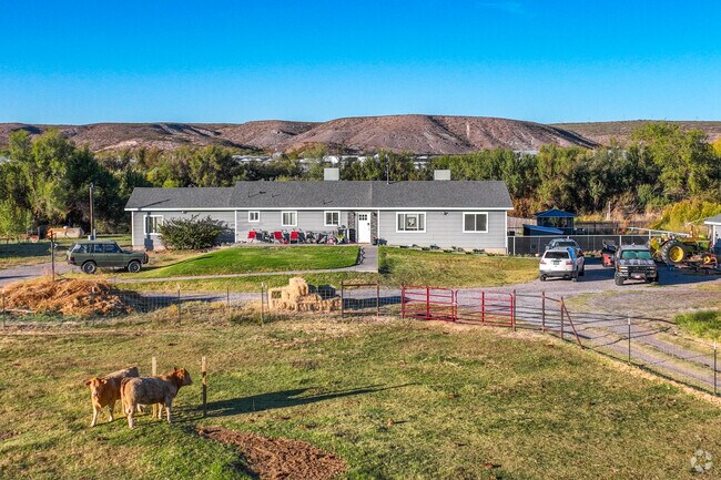 Cattle graze on grass and hay in front of this home in Radium Springs.