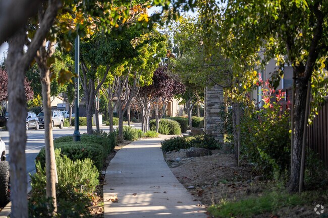 Strolling through a picturesque sidewalk with charming trees.