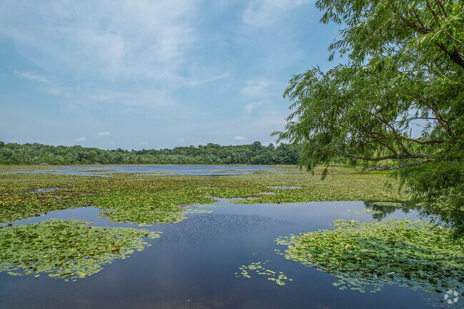 Enjoy beautiful lake views at Hammond Pond Reservation in Newton.