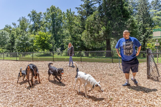 Main Street Park features an off leash dog park for Historic Southeast dog owners.