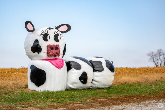 Hay farm owners have a creative way of saying, 