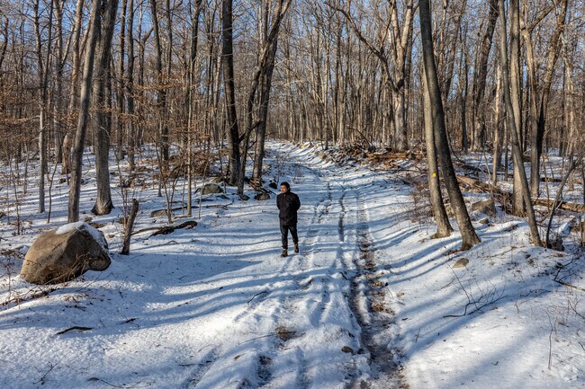 Farny State Park in Oak Ridge offers miles of hiking trails and vast woodlands for outdoor exploration.