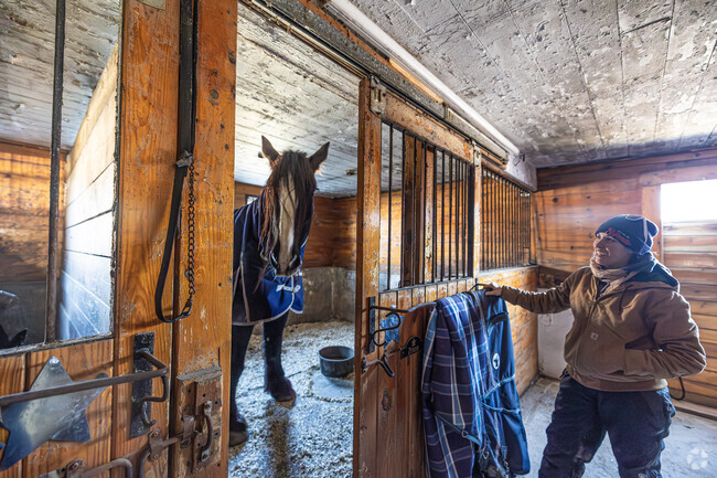 Locals can enjoy horseback riding in the area during all seasons.