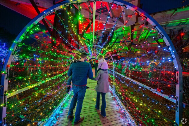Canal-White River's Christmas at the Zoo transforms the zoo with colorful lights.